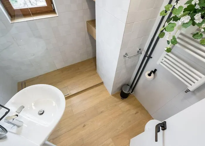 Cozy Wilson * Bucharest