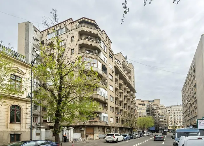 Cozy Wilson * Bucharest